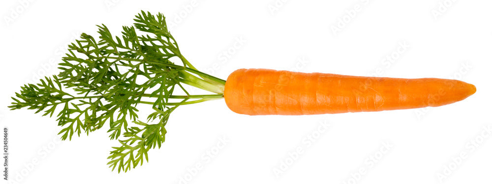 gajar (carrot)