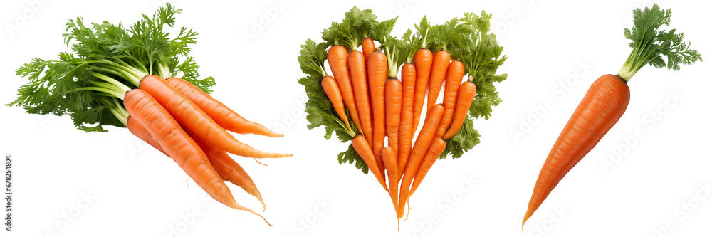 gajar (carrot)