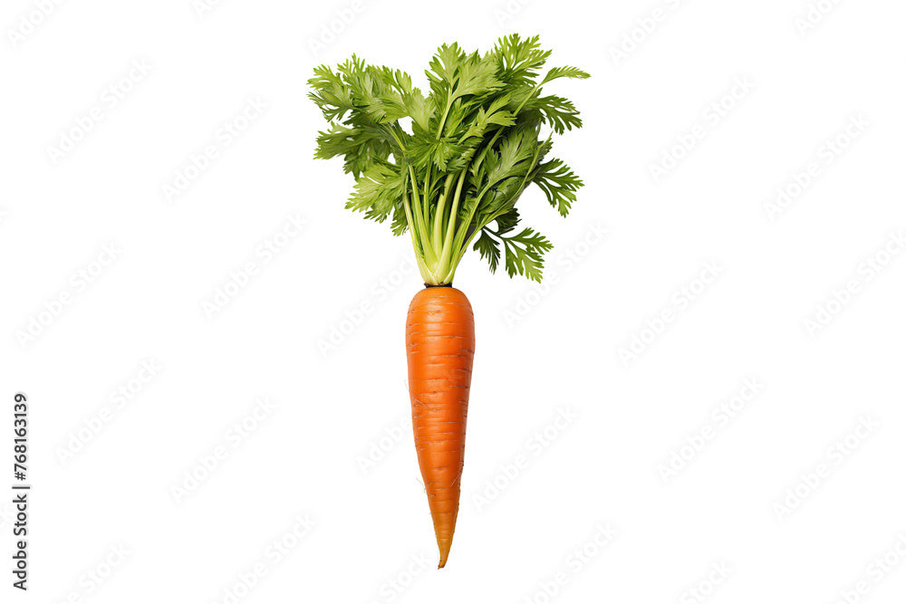 gajar (carrot)