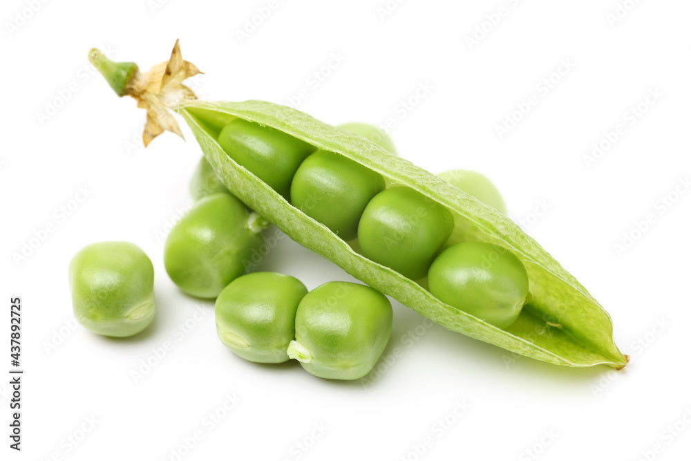 matar (vatana)