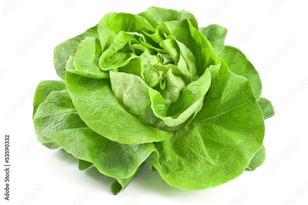 kebij