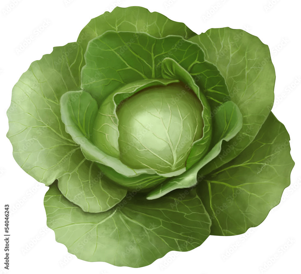 kebij